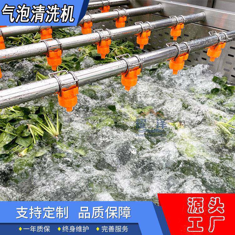 多功能商用气泡洗菜机洗土豆机全自动辣椒茄子青菜喷淋鼓泡清洗机