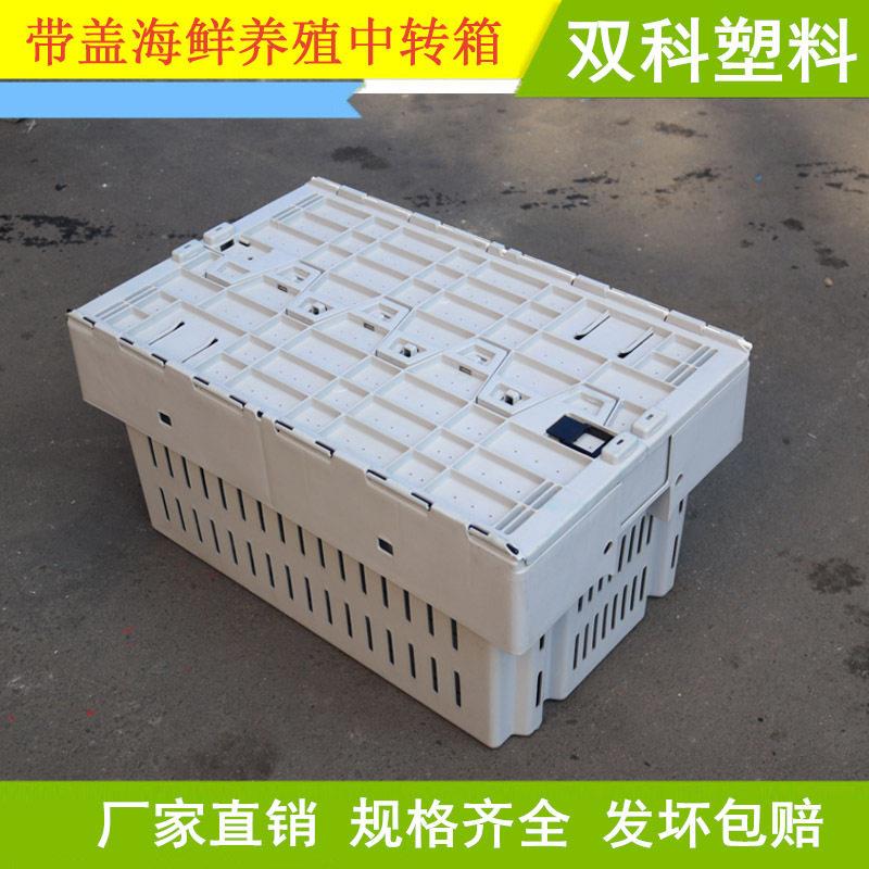 海鲜养殖箱澳龙螃蟹龙虾周转筐斜插式带盖灰色水产中转箱