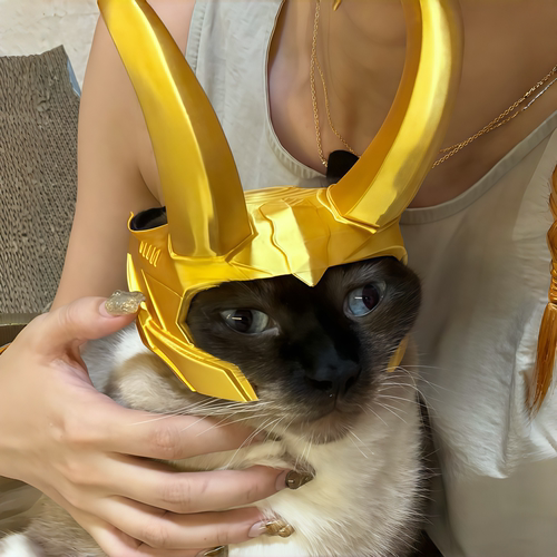 洛基风猫咪cos面具万圣节拍照