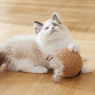 猫玩具超大剑麻球幼猫啃咬磨牙猫用品自嗨解闷神器猫咪自动逗猫棒