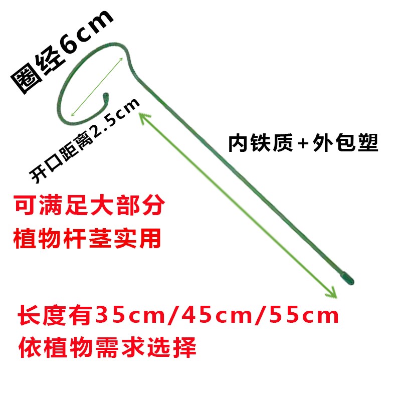植物支撑绣球蝴蝶兰花架子固定架月季爬藤防倒伏铁艺花架护花桌面图片
