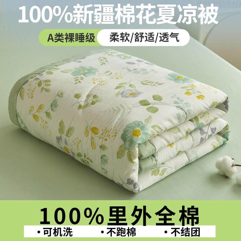 空调被夏凉被棉纯棉022全可机洗里外10%棉疆棉新花夏季被芯双0人