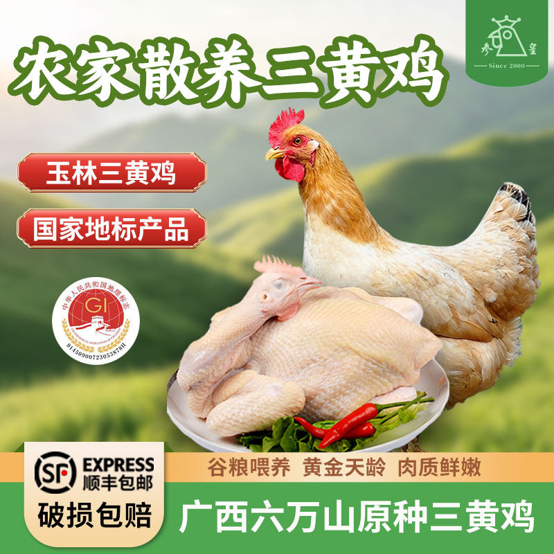 六万山参皇鸡散养走地鸡草鸡农村笨柴鸡整只装新鲜现杀正宗土鸡