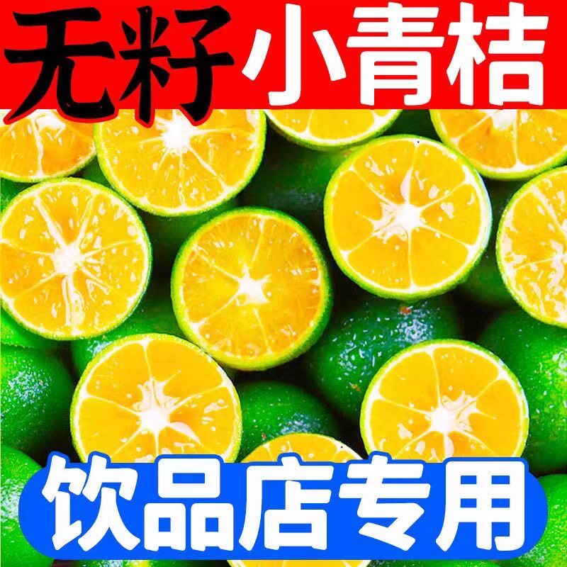 四川小青桔新鲜现摘无籽