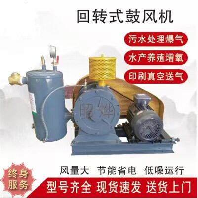 回转风机低噪音大功率超静音污水处理曝气节能氧鼓风机叶片回转