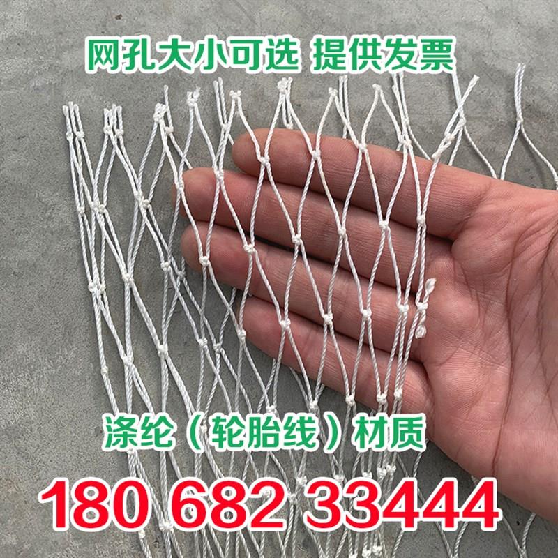涤纶线防鸟网草莓大棚果树樱桃葡萄果园防鸟用鱼塘牛蛙轮胎线天网