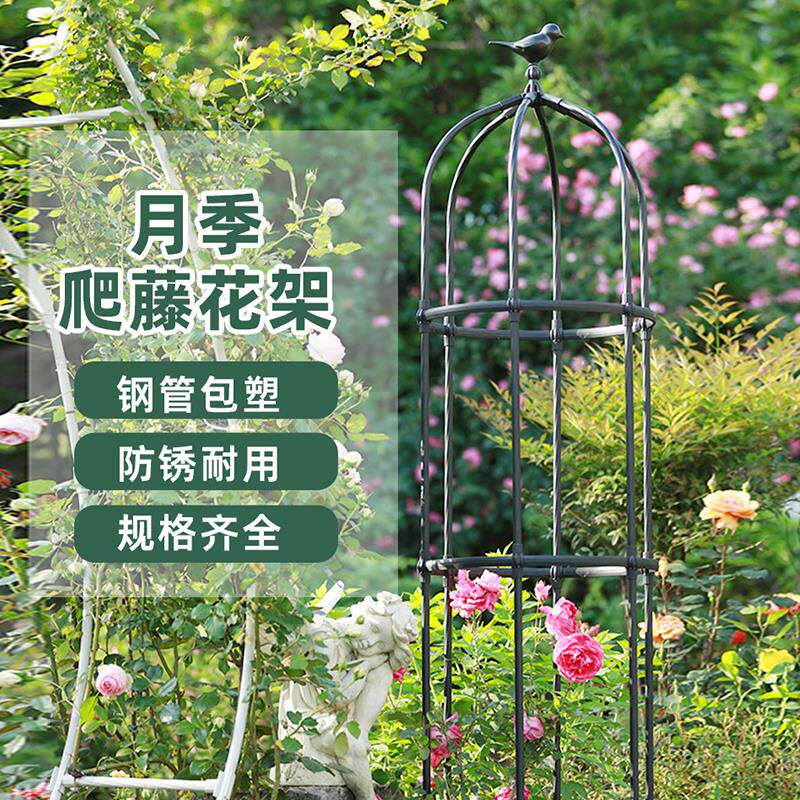 爬藤架藤架大号玫瑰花架铁线莲月季花支架植物花盆支撑攀爬架子