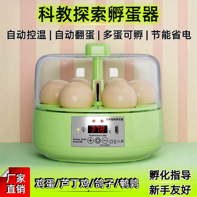 用自动智能小型孵化家器鸡HJ-6芦丁全蛋鹌鹑鸽子小鸡孵器