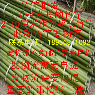 竹竿各种规格竹竿子2.5米-4米长都有 货篱笆栅栏彩旗竹杆
