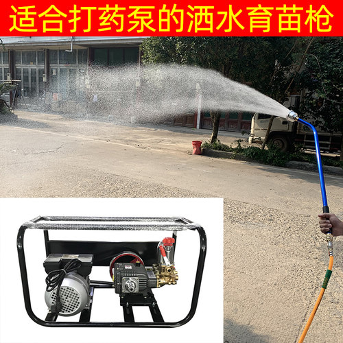 2000目园艺花洒苗浇水花卉打药机喷头园林洒水器长杆喷水枪浇花菜