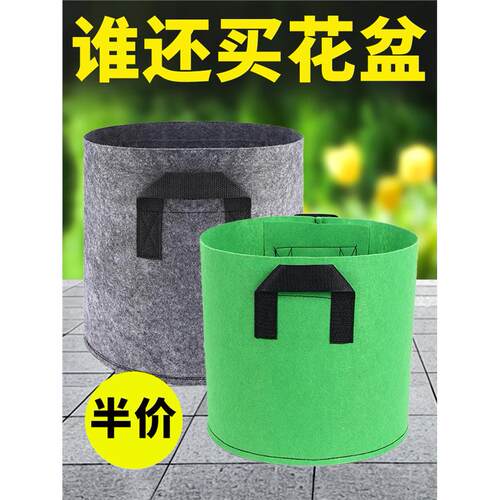 无纺布美植袋种加厚耐用