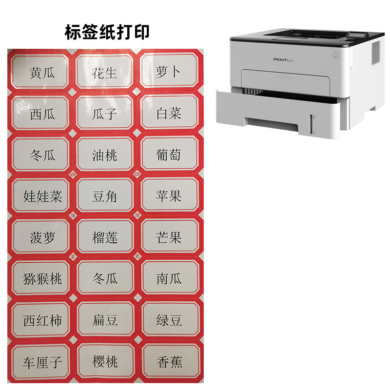 防水A4不干胶黑白激光打印机危化品贴纸标签机奔图3010型