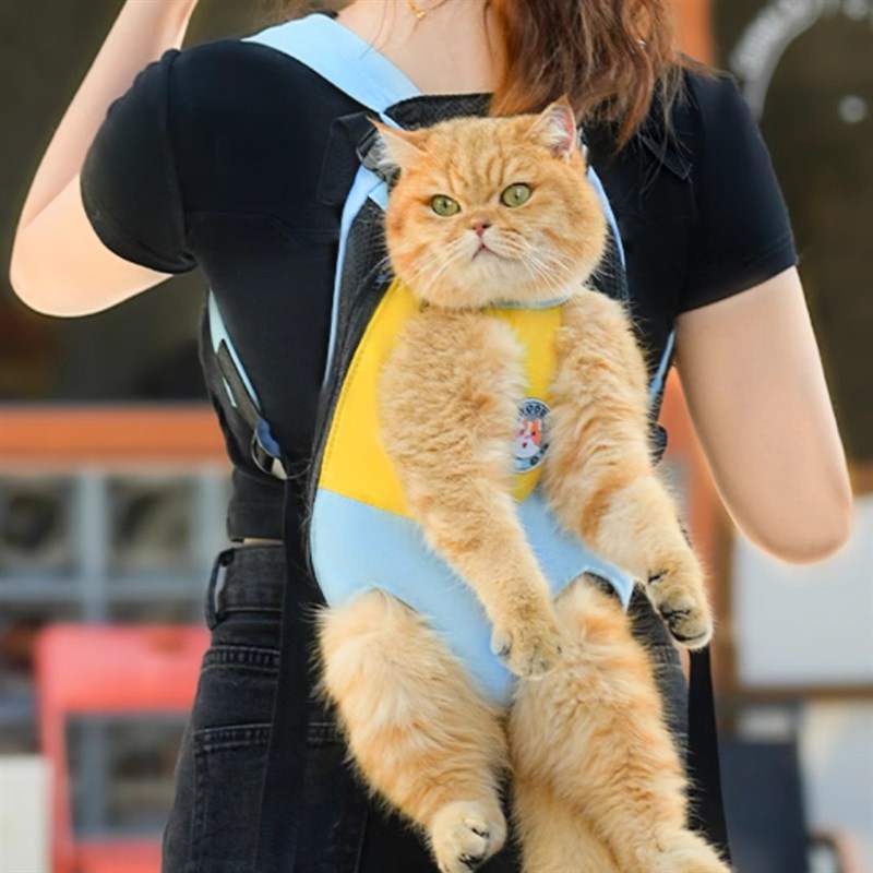 猫咪外出双肩包便携胸背带宠物背包背猫神器狗狗外出包携带胸前包