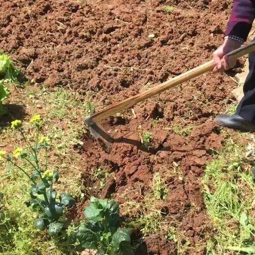 凯资kazz花锄户外长锄农用园林园艺工具除草锄草种菜木柄农具锄头