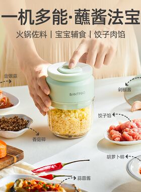 坂田釜作蒜泥神器捣蒜器打蒜器电动蒜蓉搅碎搅蒜器小型家用压蒜末