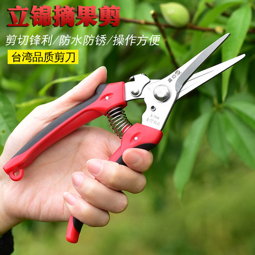 立锦摘果剪直头长刃修枝剪采果稀果树枝剪疏花剪果树剪修枝剪T719