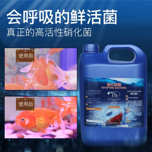 硝化细菌5L水族消化菌鱼缸锦鲤鱼池专用大桶水质稳定剂净水清澈剂