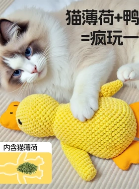 猫咪玩具解闷神器毛绒猫薄荷玩具自嗨发声磨牙耐咬猫咪用品dy