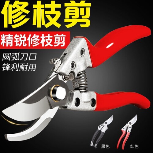 剪枝果树修枝剪刀园艺修剪树枝园林省力修花枝剪家用剪子摘果神器