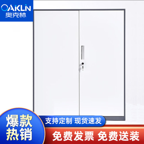 办公室套色文档柜落地矮柜铁皮柜小型对开档案柜带锁柜子工具柜