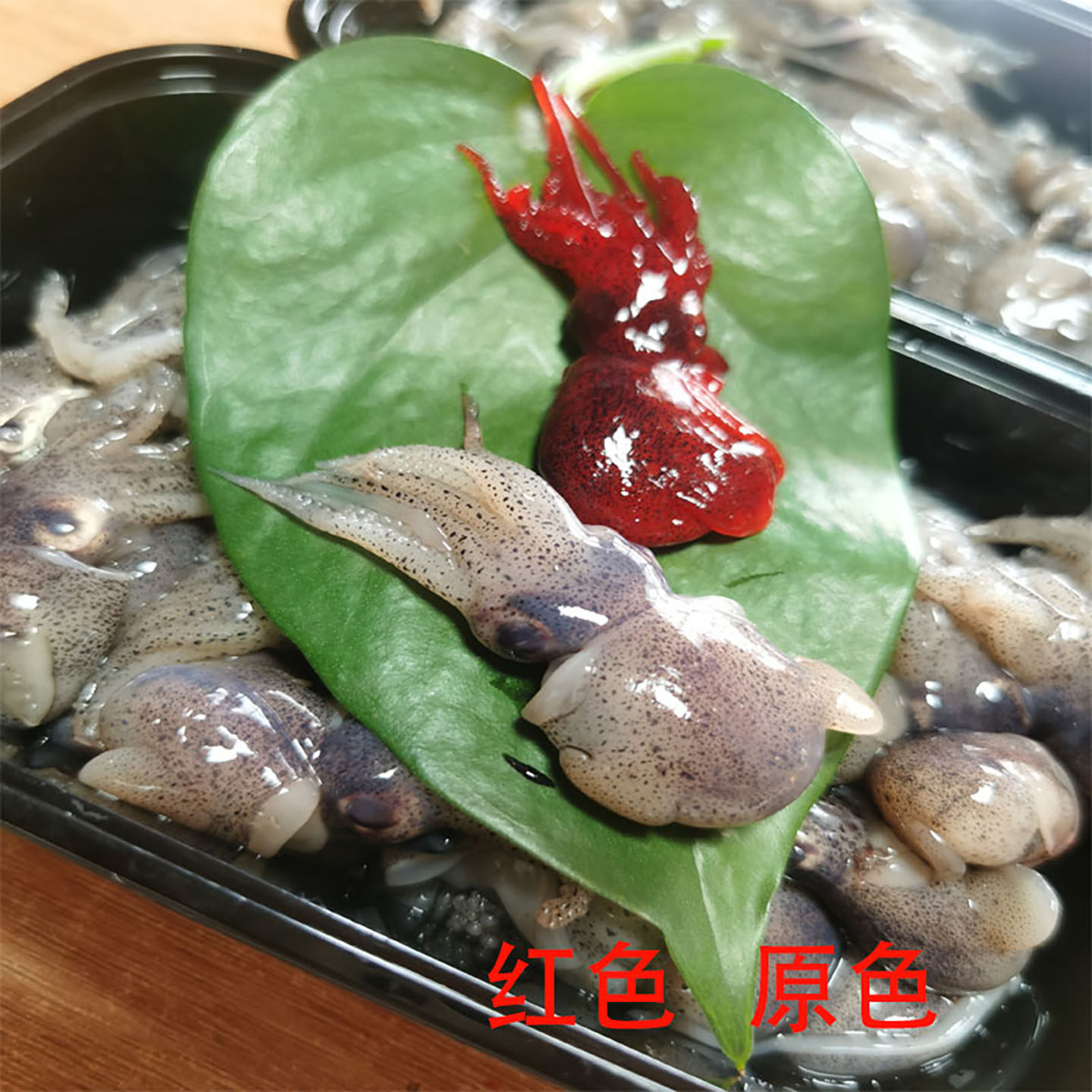 海钓饵料小魔豆腌制墨鱼豆黑头石斑深海大物秘制船钓鱼饵海鱼诱饵