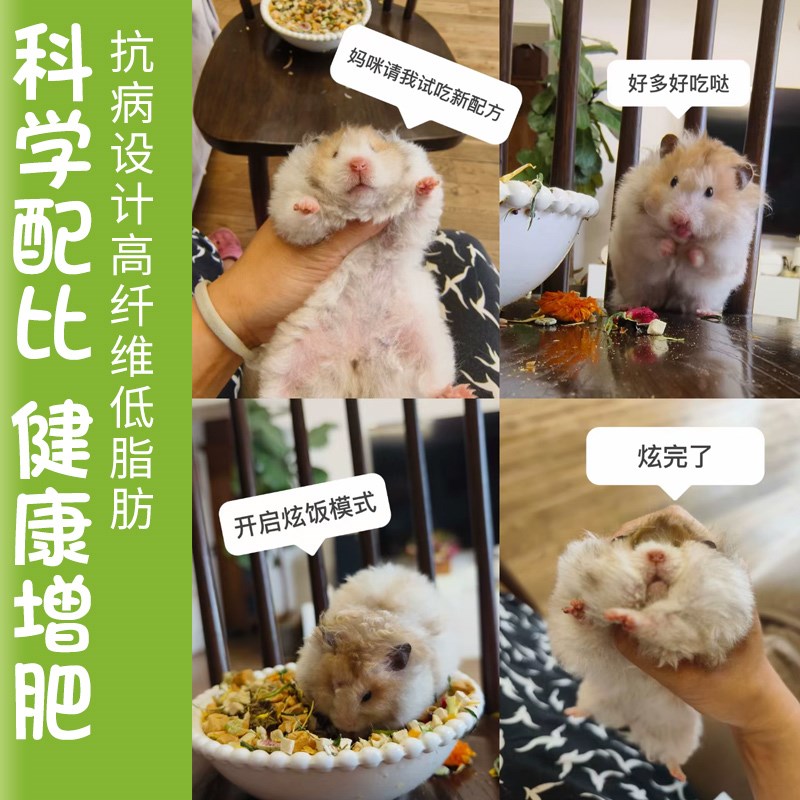 德系三文鱼有机谷物金丝熊全价主粮低脂无糖美毛健康长肉仓鼠粮