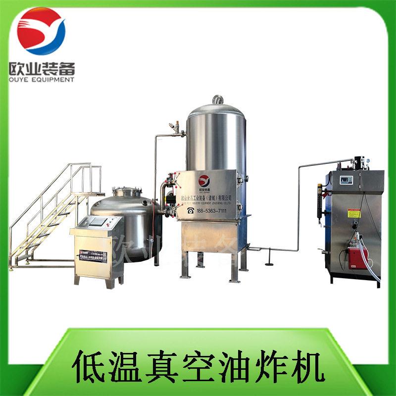 河虾低温真空油炸机水果干低温脱油机器果蔬脆片油炸设备
