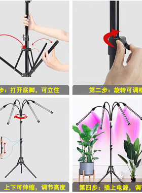 led植物补光灯全光谱落地支架款室内仿日光多肉上色灯防徒长草莓