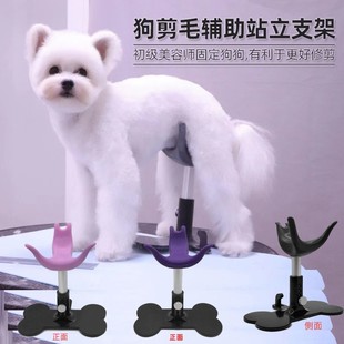 瑞宠魔梯MOTI犬辅助站立支架美容师固定狗狗用网红宠物关爱小板凳