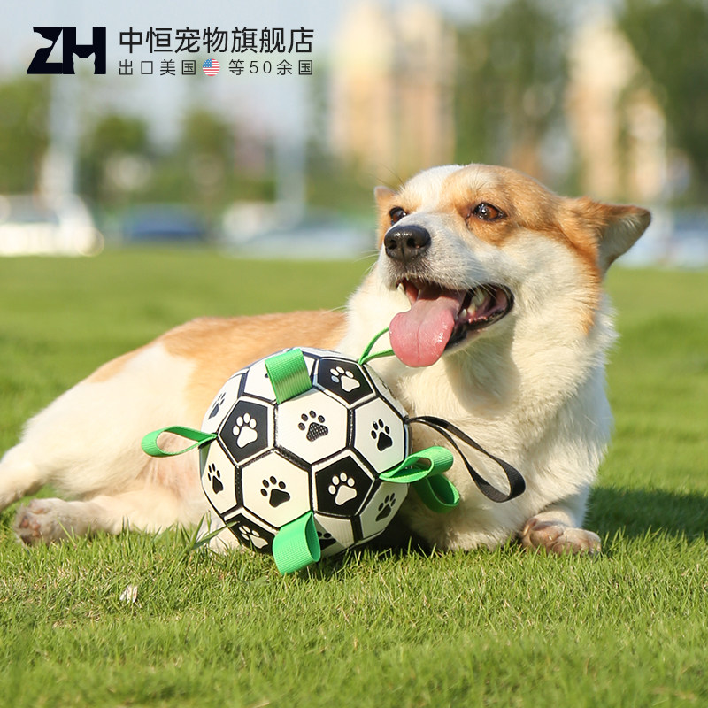 狗狗玩具足球宠物耐咬磨牙玩具柯基中大型犬边牧金毛独处解闷神器