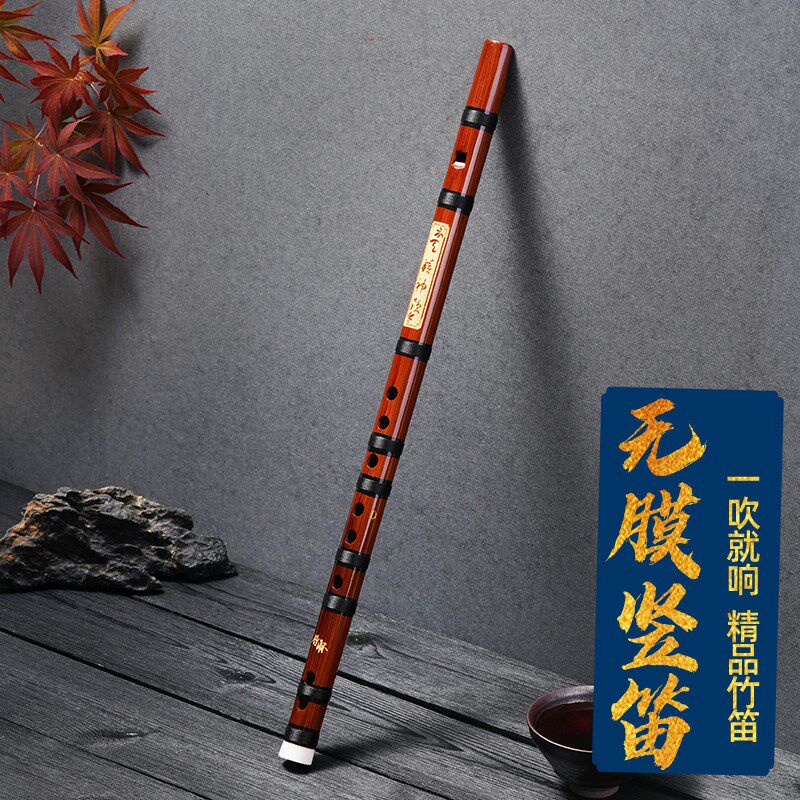 一吹就响专业6孔竖笛竹笛入门初学成人演奏EF儿童G调乐器CD顺笛