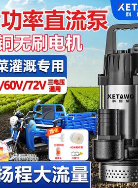 电动车专用潜水泵12V48V60V72EV大功率大流量无刷抽水泵农用灌溉