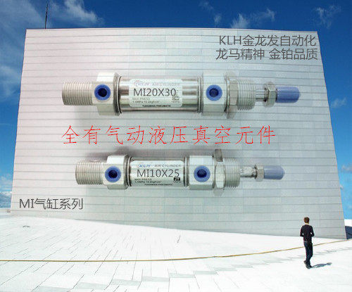 不锈钢迷你气缸MI10X150X160X175X200-S-CA-U