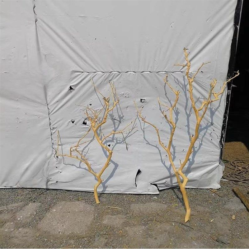 干树枝去皮原木树干枯树枝带分枝带杈树枝室内挂灯干花插花瓶装饰