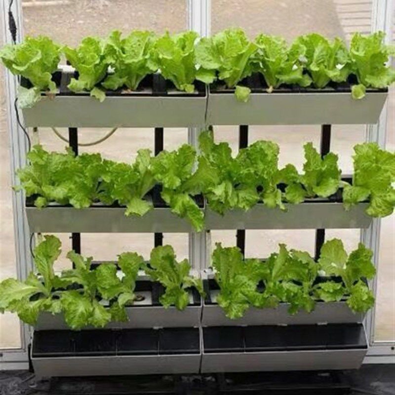移动植物墙花盆懒人自吸水客厅植物花架多层阳台种菜挂墙壁挂花盆