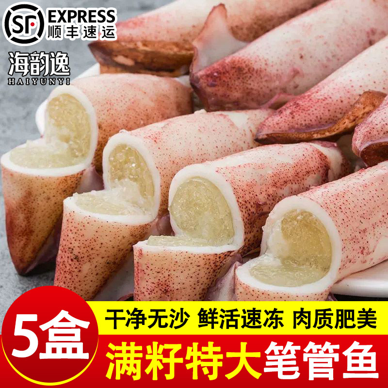 全籽籽乌海兔子满籽鲜活笔管鱼海鲜新鲜冷冻墨鱼仔乌贼小鱿鱼水产