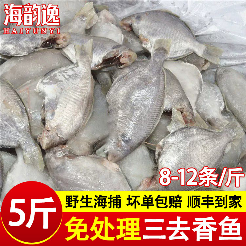 5斤三去香鱼新鲜冷冻肉鲳鱼海捕船冻香鱼批发商用海鲜水产批发