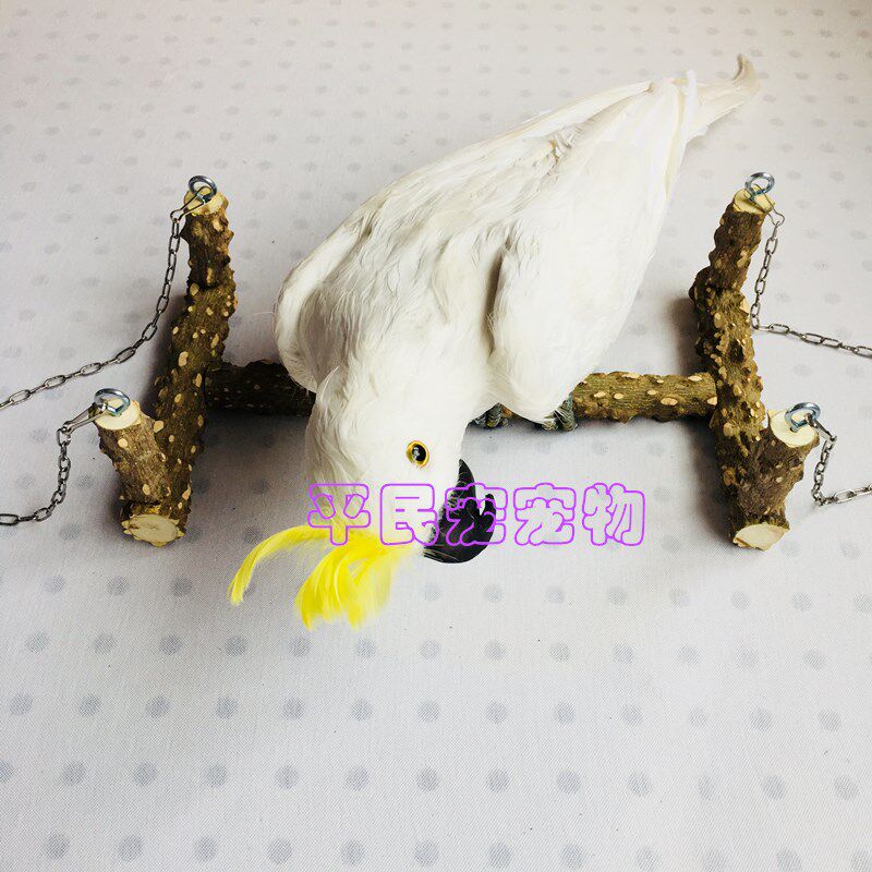 大型鹦鹉玩具鸟用品站杆花椒木秋千啃咬鸟笼站架磨牙