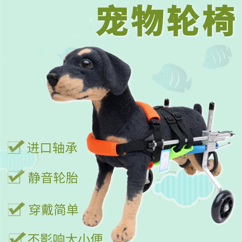 宠物轮椅狗后肢瘫痪支架两轮残疾代步车小型犬辅助外出轻便脊椎车
