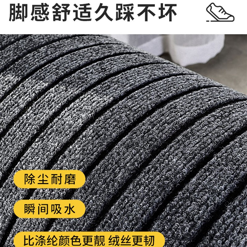 地垫入户门垫门口进门家用吸水防滑耐脏垫子加厚高级感大门口脚垫
