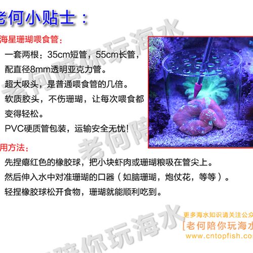 老何 红海星加强版珊瑚喂食器 亚克力珊瑚喂食管海水鱼缸喂食工具