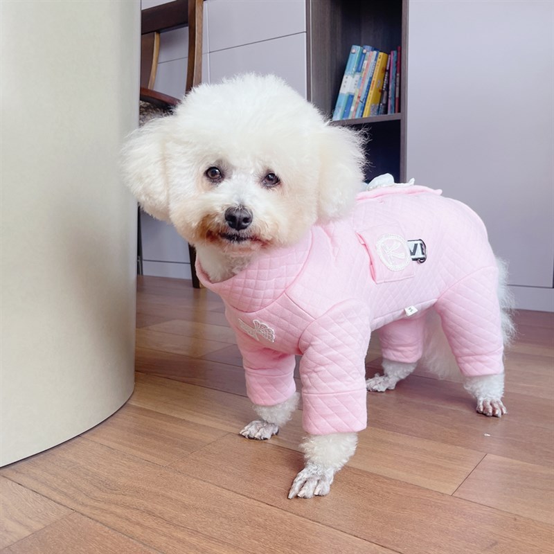 潮查利家宠物冬装加厚保暖棉衣泰迪比熊博美法斗犬短腿公主粉包肚