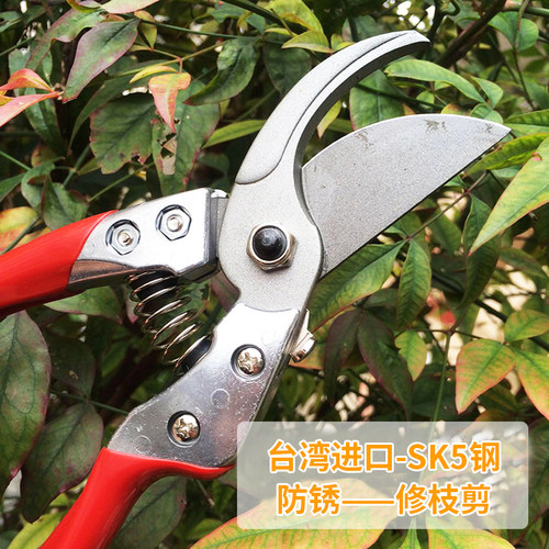 奥迈克108修枝剪粗枝剪园艺工具花剪整枝剪家用手剪修剪树枝剪刀