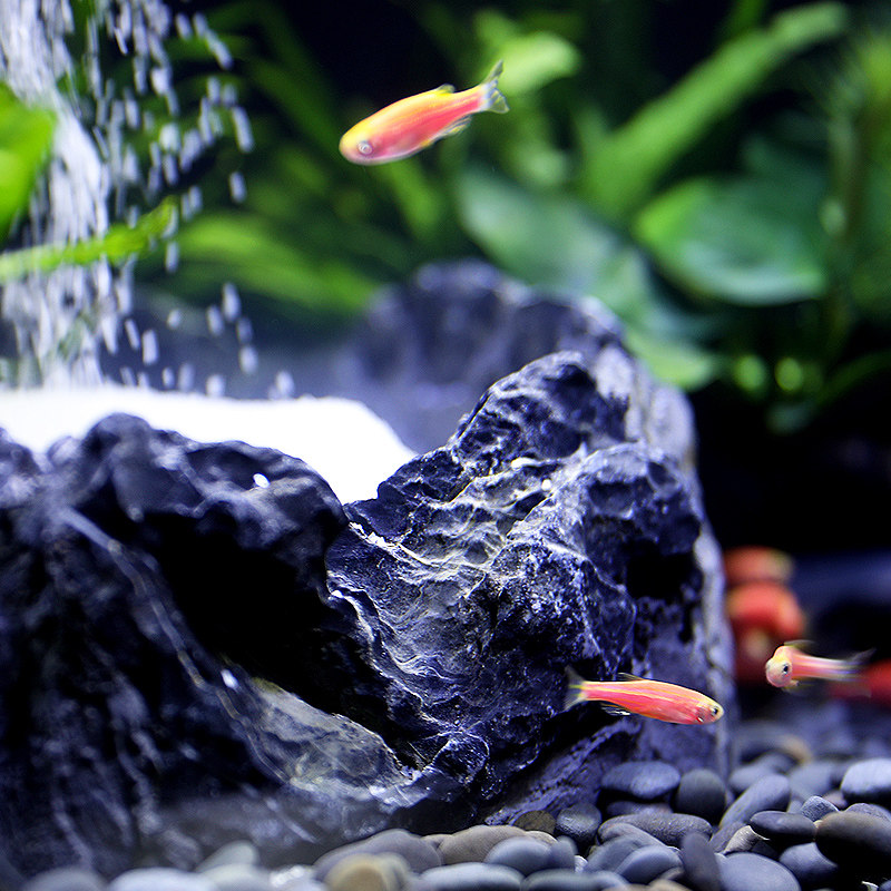 鱼缸客厅专用超白玻璃缸背滤家用生态水族箱免换水自循环流水创意