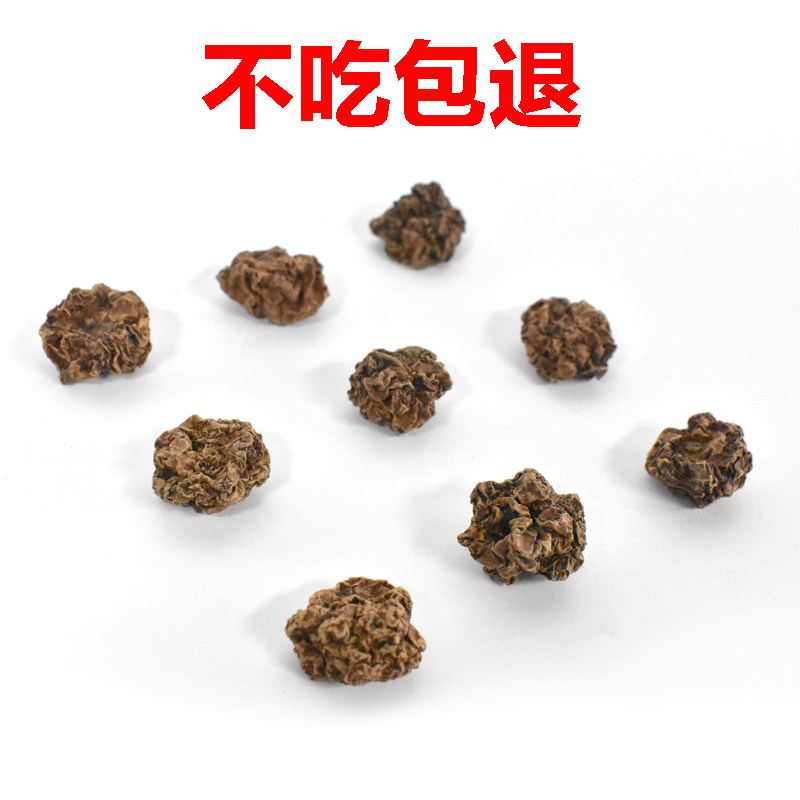 猫咪虫瘿果颗粒木天蓼磨牙棒洁牙去口臭自嗨兴奋猫咪零食幼猫用品