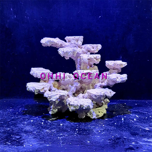 海缸免爆藻活石 造景珊瑚基座人造基拉干岩石 水族箱素材