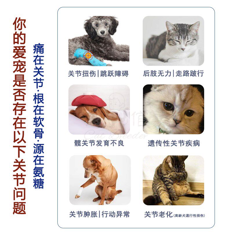 [猫倌]信元发育宝关节灵咀嚼片狗猫宠物用补钙关节保护修复软骨素