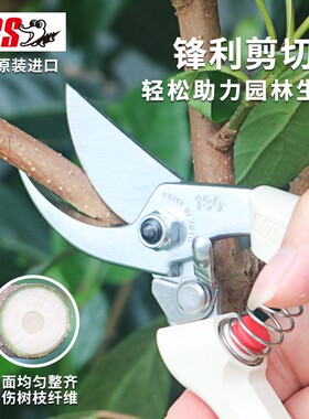 日本进口ARS爱丽斯修枝剪爱丽丝剪枝剪刀果树修剪树枝园艺园林剪