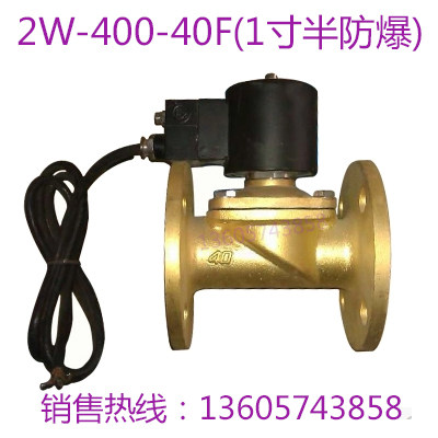 防爆电磁阀DN40法兰 2W-400-40F防爆型 全铜水管电磁阀 水阀气阀
