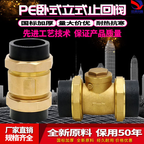 PE黄铜止回阀4/6分1寸卧式立式止阀内外丝水管道单向阀DN40/50/63